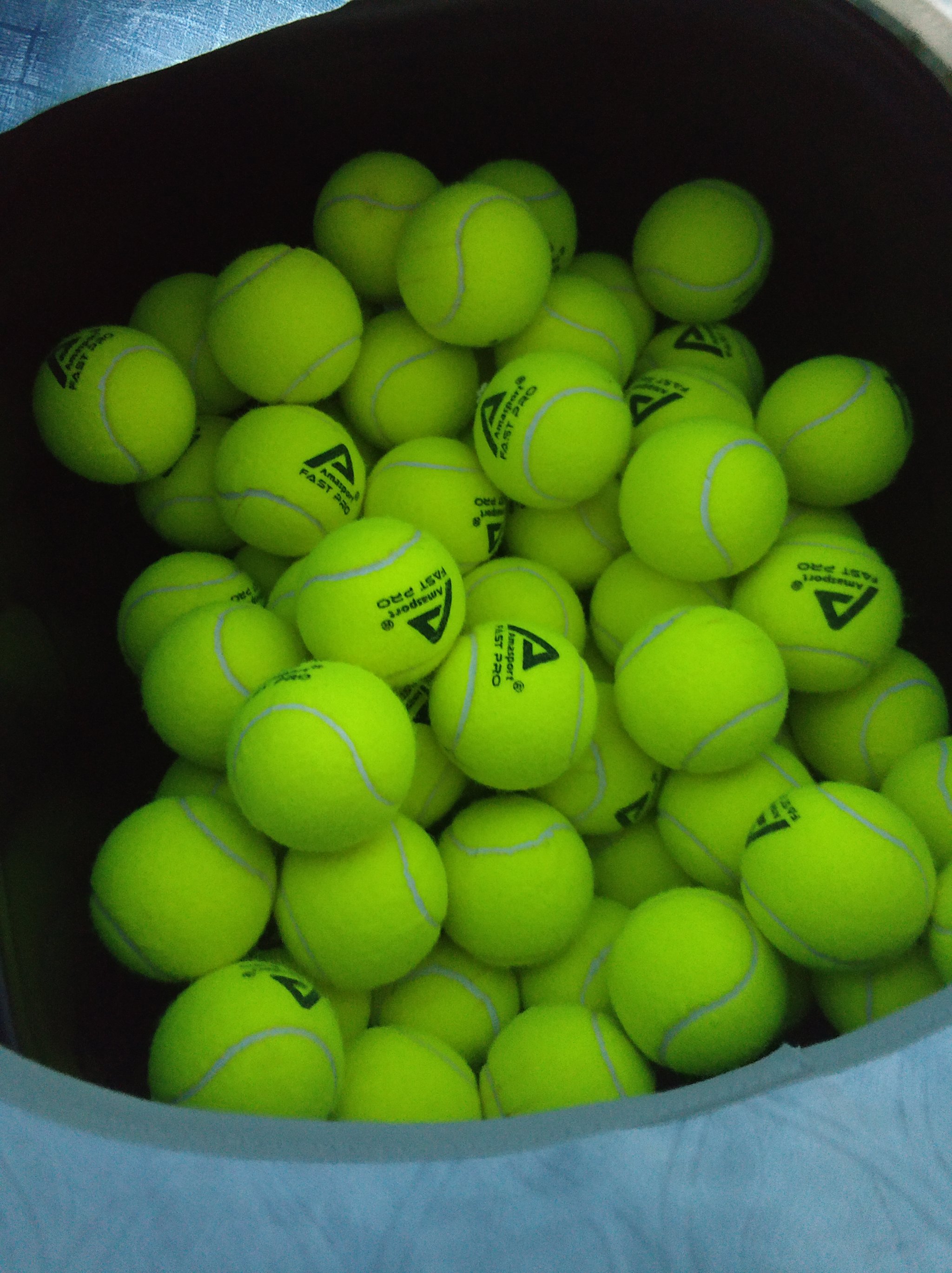 释放得分潜 释放得分潜